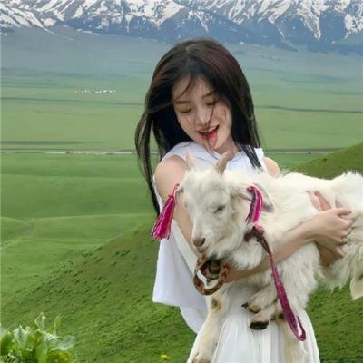 黄河巨蛇事件